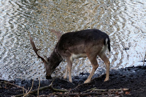 Killikus® Fotographie Killikus® Fotographie